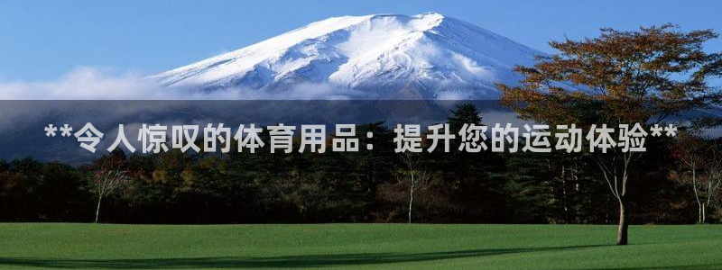 欧陆娱乐打什么方案赚钱：**令人惊叹的体育用品：提升您的运动